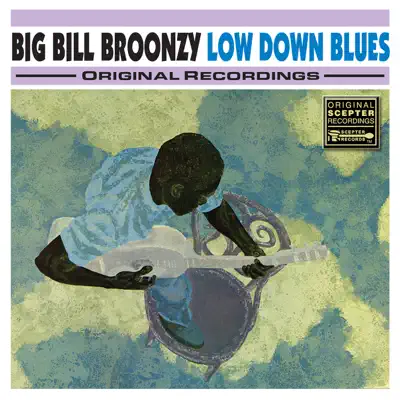 Low Down Blues - Big Bill Broonzy