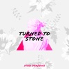 Pink Persona & Elin Porsinger - Turned To Stone