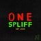 One Spliff - Hot Leche lyrics
