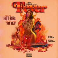 Megan Thee Stallion - Fever artwork