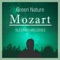 Mozart for Babies artwork