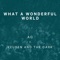 What a Wonderful World artwork