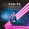 Junnosuke Taguchi - Voices