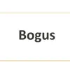 Bogus (feat. Erika Shipman) - Single album lyrics, reviews, download