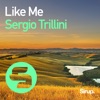 Like Me - Single