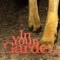 In Your Garden - Peregrino lyrics
