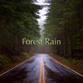 Forest Rain artwork