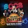 Que Festa É Essa (Caldas Country 2019) [feat. Marília Mendonça, Diego & Victor Hugo & Hugo & Guilherme] - Single