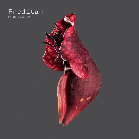 Cover artwork for Midnight
