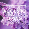 Top 20 Acoustic Tracks Spring 2019