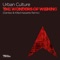 The Wonders of Wishing - Urban Culture lyrics