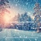 Cozy Little Christmas - Max Arnald lyrics