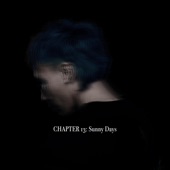 Chapter 13: Sunny Days artwork