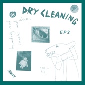 Dry Cleaning - Dog Proposal