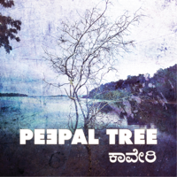 Peepal Tree - Cauvery artwork