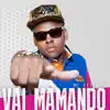 Stream & download Vai Mamando - Single