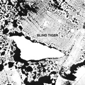Blind Tiger artwork