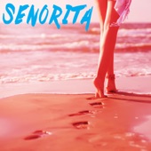 Senorita (Instrumental) artwork