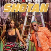 Tiwa Savage - Shotan