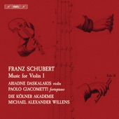 Violin Sonata No. 3 in G Minor, Op. 137 No. 3, D. 408: II. Andante artwork