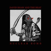 David Shaw and the Beat - Nuclear Bomb