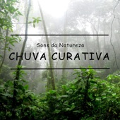 Sons da Natureza: Chuva Curativa artwork