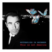Butterflies in December artwork