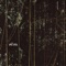 Slva - DTH lyrics