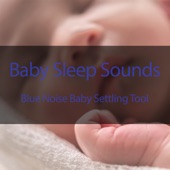 The Ambience of Birds In the Evening With Blue Noise For Baby Sleep artwork