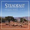 Surrogate - Steadfast lyrics