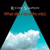 What Did I Do (Afro Mix) - Single