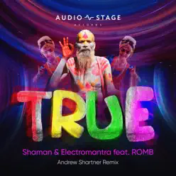 True (andrew Shartner Remix) [feat. Romb] - Single - Shaman