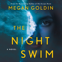 Megan Goldin - The Night Swim artwork