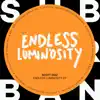 Stream & download Endless Luminosity - Single