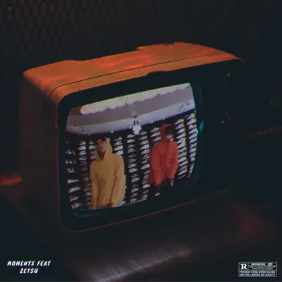 What She Likes (feat. Zetsu) - Single - Moments
