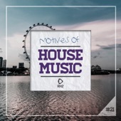 Motives of House Music, Vol. 21 artwork