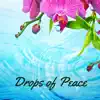 Drops of Peace album lyrics, reviews, download
