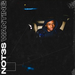 Not3s - Wanting