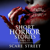 Scare Street, Ron Ripley & David Longhorn - Short Horror Stories Vol. 17: Scary Ghosts, Monsters, Demons, and Hauntings: Supernatural Suspense Collection (Unabridged) artwork