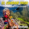 El Cóndor Pasa - Flautas Andinas