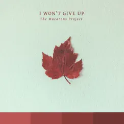 I Won't Give Up (Acoustic Version) Song Lyrics