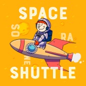 space shuttle artwork