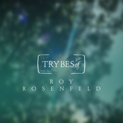 Roy Rosenfeld - The Biggest Heart