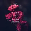 Visions (feat. RBBTS) [The Remixes] - Single album lyrics, reviews, download