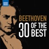 Beethoven: 30 of the Best artwork