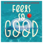 Feels So Good Living the Life You Love (feat. TheRealShakar) [Tom Chubb Soulful Mix] artwork