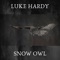 Snow Owl - Luke Hardy lyrics