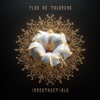 Quisiera by Flor de Toloache iTunes Track 1