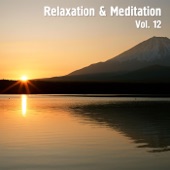 Relaxation & Meditation, Vol. 12 artwork