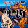 Turkey Today artwork